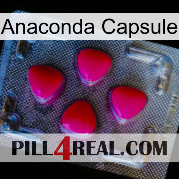 Anaconda Capsule 13.jpg